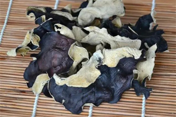 黑木耳与毛木耳有什么区别