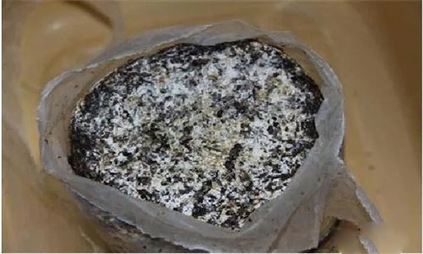 金针菇为什么要搔菌