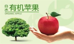什么是有机苹果 有机苹果生产的条件与核心技术