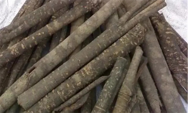 厚朴如何贮藏