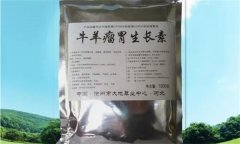 肉羊养殖中常用的非营养性饲料添加剂有哪些？