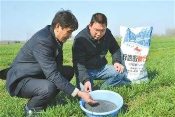 如何提高化肥使用效率