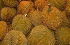 没熟的榴莲可以吃吗？榴莲打开后没熟怎么办？