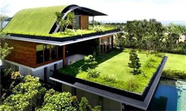 屋顶绿化的作用