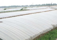 蔬菜大棚的建设技术及其各项指标要求