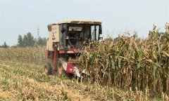 秸杆还田有哪些好处 麦秸还田怎样改进耕作技术