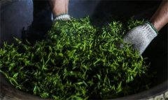 绿茶杀青的目的是什么，有几种杀青方式？