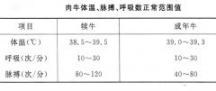 牛病有哪些诊断方法？