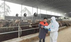 肉牛场防疫原则、基本要求与基本制度