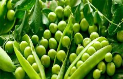 怎样种植豌豆，豌豆种植的方法与具体步骤