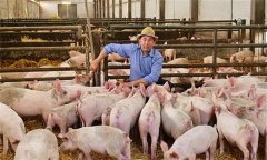 猪场生产过程中的成本控制包括哪些方面？
