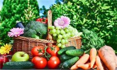 什么是有机食品？有机食品与绿色食品区别