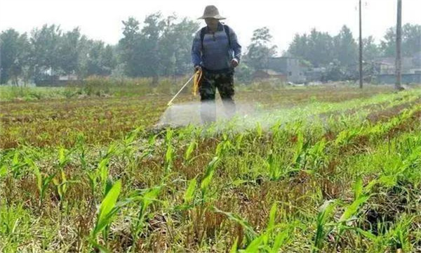 看清除草剂的适用作物和使用方法